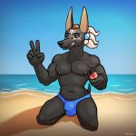  1:1 abs anthro anubis avioylin beach beverage black_sclera canid canine canis clothed clothing deity domestic_dog egyptian_mythology looking_at_viewer male mammal middle_eastern_mythology muscular mythical_creature mythology nipples partially_clothed peace_symbol seaside sitting smile soda solo swimwear teeth wolf 