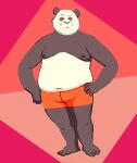  2009 anthro black_body black_fur black_nose clothing fur giant_panda humanoid_hands male mammal moobs navel nipples osos overweight overweight_male simple_background underwear ursid white_body white_fur 