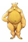  2013 anthro balls belly brown_body brown_fur flaccid fur genitals humanoid_genitalia humanoid_hands humanoid_penis male mammal moobs navel nipples osos overweight overweight_male penis simple_background ursid white_background 