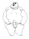  2015 anthro balls clothing erection genitals humanoid_genitalia humanoid_hands humanoid_penis male mammal morbidly_obese obese osos overweight overweight_male penis shirt simple_background solo topwear ursid white_background 