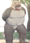  2021 anthro balls belly blush canid canine canis chocobibear domestic_dog flaccid genitals hi_res kemono male mammal micropenis moobs navel nipples outside overweight overweight_male peeing penis small_penis solo tongue tongue_out 