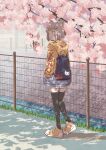  1girl animal_ears backpack bag bangs black_legwear blue_bag blunt_bangs cat_ears cherry_blossoms contemporary dappled_sunlight day from_behind full_body hands_in_pockets highres hood hoodie kageyasu nia_(xenoblade) outdoors shoes short_hair shorts silver_hair sneakers solo sunlight thighhighs walking white_shorts xenoblade_chronicles_(series) xenoblade_chronicles_2 yellow_eyes yellow_footwear yellow_hoodie 