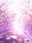  absurdres cherry_blossoms commentary dappled_sunlight highres light_particles no_humans original path petals pink_theme scenery skyrick9413 sunlight tree vanishing_point 