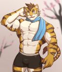  2021 abs anthro biceps blue_eyes blue_scarf brown_hair brown_stripes cherry_blossom chest_tuft claws clothed clothing fangs felid finger_claws fur hair hand_behind_head hi_res jrjresq male mammal muscular muscular_anthro muscular_male nipples one_eye_closed open_mouth orange_body orange_fur pantherine pecs pinup plant portrait pose quads scarf sharp_teeth solo striped_body striped_fur stripes teeth three-quarter_portrait tiger triceps tuft underwear 