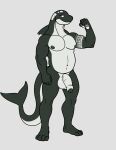  absurd_res anthro balls black_body black_nipples blue_eyes cetacean delphinoid genitals grey_background hi_res looking_at_viewer male mammal marine nipples nude oceanic_dolphin orca pecs penis piercing sharkiedude simple_background solo standing tattoo toothed_whale 