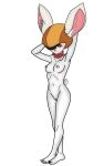  anthro clothing dragon_ball dragon_ball_super dullehan female genitals hat headgear headwear hi_res lagomorph leporid mammal nipples nude pussy rabbit scarf solo sorrel 