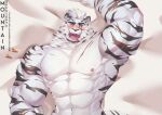  1boy abs ahegao alvedo_vhiich animal_ears arknights armpits bara biceps blush completely_nude dakimakura_(medium) furry highres large_pectorals looking_at_viewer lying male_focus mountain_(arknights) muscular muscular_male naughty_face navel nipples nude on_back on_bed open_mouth saliva scar scar_across_eye scar_on_arm scar_on_chest short_hair solo stomach tail thighs tiger_boy tiger_ears tiger_tail tongue tongue_out upper_body white_fur white_hair 