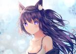  1girl animal_ear_fluff animal_ears fox_girl green_ribbon guild_cq kou_futoshi long_hair looking_at_viewer purple_eyes purple_hair quon_tama ribbon solo virtual_youtuber 