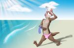  anthro beach bulge clothing dizzyvixen hi_res lutrine male mammal mustelid outside pawpads paws sea seaside shirtless solo speedo sun swimwear water 