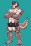  2020 abs absurd_res anthro biceps bottomwear canid canine canis clothing darkzerojack fur hi_res male mammal muscular muscular_anthro muscular_male pecs ratontheraccoon silver_(darkzerojack) simple_background solo tattoo wolf 