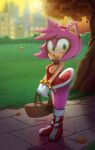  amy_rose anthro basket bottomless breasts clothed clothing detailed_background dress eulipotyphlan female footwear genitals gloves green_eyes hair handwear hedgehog hexanne hi_res looking_at_viewer mammal nipples pink_body pink_hair pussy smile solo sonic_the_hedgehog_(series) video_games 