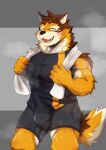  abs anthro asleepchef barrel_(live-a-hero) bodily_fluids bulge canid canine canis fur hi_res live-a-hero male mammal multicolored_body multicolored_fur muscular muscular_anthro muscular_male pecs solo sweat towel wolf workout_clothing 
