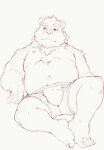  2021 absurd_res anthro belly bulge clothing heylaw21 hi_res kemono male mammal navel nipples overweight overweight_male simple_background sketch solo underwear ursid 