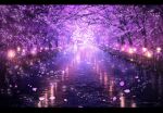  absurdres cherry_blossoms commentary_request highres lantern letterboxed nature night no_humans original outdoors petals purple_theme railing reflection scenery skyrick9413 tree 
