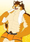  abs absurd_res anthro barrel_(live-a-hero) biceps bottomwear bulge canid canine canis clothing fur hi_res live-a-hero male mammal multicolored_body multicolored_fur muscular muscular_anthro muscular_male pecs shorts solo towel wolf zenon_s2017 