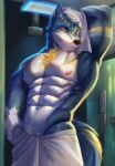  abs absurd_res after_shower agonylight anthro blue_body blue_fur fur hi_res kult2k male nipples solo yellow_body yellow_fur 