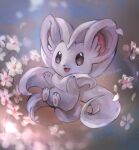 :3 animal_focus artist_name black_eyes blank_eyes blurry blurry_foreground cinccino commentary_request day_walker1117 english_text flower fluffy full_body gen_5_pokemon happy highres looking_at_viewer no_humans open_mouth pawpads petals pokemon pokemon_(creature) signature smile solo white_flower 