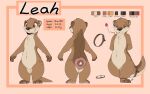  16:10 2021 absurd_res anthro brown_body brown_fur candy color_swatch dessert english_text featureless_crotch female food fur hi_res lollipop louart lutrine mammal model_sheet mustelid navel nude simple_background smile solo standing text widescreen 
