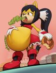  anthro belly big_belly black_hair bomkragg boots burping cake clothing dessert domestic_cat doughnut dress felid feline felis female female/female food footwear hair hi_res honey_the_cat mammal plates red_boots red_clothing red_dress red_footwear rumbling_stomach solo sonic_the_fighters sonic_the_hedgehog_(series) stuffing yellow_body 