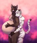  ambiguous_gender animal_genitalia anthro balls canid canine duo empiremaker felid genitals hand_on_stomach head_on_shoulder hi_res male male_pregnancy mammal multi_nipple nipples pantherine pregnant sheath standing tiger 