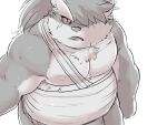  4:3 anthro bandage belly biceps canid canine canis cddi_h domestic_dog hair male mammal musclegut nipples pecs ponytail scar shino_(housamo) solo tokyo_afterschool_summoners video_games 