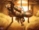  2020 animal_genitalia animal_penis anthro balls barn bdsm big_penis biped bodily_fluids body_hair bondage bound brown_balls brown_hair brown_penis bucephalus chain chest_hair chumbasket cum cum_string digital_media_(artwork) equid equine equine_penis erection flared_penis fully_bound fur genital_fluids genitals green_eyes grin hair hands_behind_back happy_trail hay hay_bale hogtied horse inside looking_at_viewer male mammal muscular muscular_anthro muscular_male nipples pecs penis pink_penis pitchfork pubes rope rope_bondage smile solo striped_body striped_fur stripes suspended_in_midair suspension tan_body tan_fur tools vein veiny_penis 