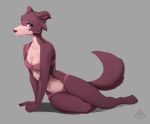  2021 5_fingers 5_toes anthro beastars black_nose bra breasts canid canine canis claws cleavage clothed clothing elicitie feet female finger_claws fingers fur grey_background grey_body grey_fur hi_res humanoid_feet humanoid_hands juno_(beastars) looking_at_viewer mammal multicolored_body multicolored_fur panties signature simple_background smile solo toes two_tone_body two_tone_fur underwear underwear_only white_body white_fur wolf 
