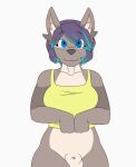  2d_animation animal_genitalia animated anthro blue_eyes bottomless breast_jiggle breasts canid canine canis clothed clothing clothing_lift digital_media_(artwork) domestic_dog exposed_breasts frame_by_frame front_view fully_sheathed genitals gynomorph iabelle intersex looking_at_viewer mammal navel nipples nova_palmer one_eye_closed pink_nipples presenting presenting_breasts sheath shirt shirt_lift simple_background solo tongue tongue_out topwear white_background wink winking_at_viewer yellow_clothing yellow_topwear 