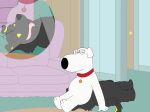  anal anthro brian_griffin canid canine canis collar cutaway darkbunny666 domestic_dog duo facesitting family_guy hi_res male male/male mammal new_brian oral rimming sex smile softdiamond wolf 