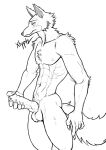  abs animal_genitalia animal_penis anthro balls beastars blush canid canine canine_penis canis chest_tuft claws genitals hand_on_penis hi_res knot legoshi_(beastars) male mammal masturbation neck_tuft nipples penis pubic_fuzz shoulder_tuft solo standing tuft wolf xlyphyaoi 