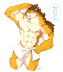  abs anthro balls barrel_(live-a-hero) better_version_at_source canid canine canis flaccid fur genitals hi_res kalonezhno live-a-hero male mammal multicolored_body multicolored_fur muscular muscular_anthro muscular_male pecs penis solo towel wolf 