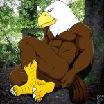  1:1 2018 5_fingers 5_toes abs accipitrid accipitriform anthro avian bald_eagle beak biceps bird bird_feet brown_body brown_feathers butt claws dated digital_media_(artwork) digitigrade eagle eyes_closed fabfelipe feathers feet fingers hi_res male multicolored_body multicolored_feathers muscular muscular_anthro muscular_male nude outside pecs photo_background plant quads scutes sea_eagle signature sleeping solo tail_feathers thick_thighs toe_claws toes tree white_body white_claws white_feathers yellow_beak 