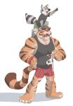  2021 anthro biceps bottomwear clothing felid fur group hi_res male mammal muscular muscular_anthro muscular_male pantherine procyonid raccoon rollingstoneeeeee simple_background size_difference smaller_male stripes tiger topwear wristband 
