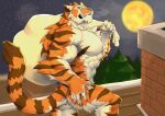  2019 abs absurd_res anthro biceps captainjohkid chest_tuft detailed_background felid fur hi_res male mammal muscular muscular_anthro muscular_male night outside pantherine pecs solo striped_body striped_fur stripes tiger tuft 