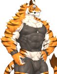  2020 abs absurd_res anthro biceps bottomwear captainjohkid clothing felid fur hi_res male mammal neckwear nipples pantherine pecs simple_background solo striped_body striped_fur stripes tiger topwear wristband 