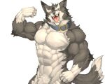  2020 abs absurd_res anthro biceps canid canine canis captainjohkid collar flexing fur hi_res male mammal muscular muscular_anthro muscular_male pecs simple_background solo 