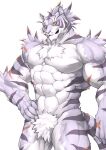  2019 abs absurd_res anthro biceps captainjohkid felid fur hair hi_res male mammal muscular muscular_anthro muscular_male nude pantherine pecs scar shiro_(world_flipper) solo striped_body striped_fur stripes tiger white_body white_fur world_flipper 