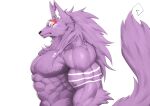  2019 abs absurd_res anthro biceps canid canine canis captainjohkid fur hair hi_res male mammal muscular muscular_anthro muscular_male pecs purple_body purple_fur simple_background solo wolf 
