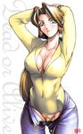  arikawa breasts brown_hair cleavage dead_or_alive green_eyes helena_douglas large_breasts long_hair no_bra no_panties non-web_source open_clothes open_shirt pubic_hair shirt solo 