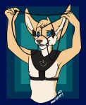  2017 5_fingers ambiguous_gender anthro biped blinders canid canine eyewear fennec fingers fox harness hi_res mammal maskedpuppy nude petplay ponyplay roleplay simple_background solo 