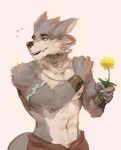  anthro armband athletic athletic_anthro athletic_male bunsfw canid canine canis claws dandelion fangs far_beyond_the_world_(series) flower fur green_eyes hand_on_shoulder hi_res holding_flower holding_object male mammal multicolored_body multicolored_fur navel neck_tuft nipples plant pubic_trail ranok_(far_beyond_the_world) solo tuft two_tone_body two_tone_fur video_games visual_novel wolf 