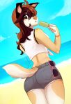  2021 anthro beach breasts brown_eyes brown_hair canid canine canis clothed clothing day detailed_background digital_media_(artwork) domestic_dog female hair mammal outside seaside sky solo standing wolflady 