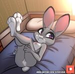  2021 3_toes 4_fingers absurd_res anthro anus bed bite biting_lip biting_own_lip breasts claws crossed_legs disney feet female fingers fur furniture genitals grey_body grey_fur hi_res high-angle_view judy_hopps lagomorph legs_up leporid lying mammal nipples nude on_back on_bed purple_eyes pussy rabbit self_bite siroc solo teeth toe_claws toes zootopia 