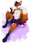  4_toes 5_fingers anthro barefoot brown_hair canid canine chesta collar digital_media_(artwork) digitigrade eyebrows eyelashes feet fingers fox hair hi_res male mammal shirtless solo toes 