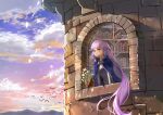  1girl absurdly_long_hair absurdres bird blue_cape blue_dress blue_sky book bookshelf braid cape commission commissioner_upload dress eyebrows_visible_through_hair fire_emblem fire_emblem:_the_binding_blade flower french_braid highres huge_filesize long_hair purple_eyes purple_hair shiny sky smile solo sophia_(fire_emblem) tower trapiorra very_long_hair 