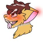  1:1 ahegao ambiguous_gender anthro bodily_fluids cum cum_on_face dragon forked_tongue fur furred_dragon genital_fluids headshot heavy_blush looking_pleasured low_res skyler_the_dragon skylerthedragon solo tongue 