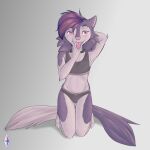  1:1 anthro breeches canid canine canis clothing digital_drawing_(artwork) digital_media_(artwork) domestic_dog female hi_res husky hybrid kadeki kadeki_(character) language mammal multi_tail nordic_sled_dog pinup pose sitting solo spitz swimwear top_(disambiguation) underwear wolf 