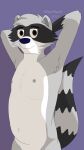  absurd_res anthro armpit_hair blue_nose body_hair brown_eyes chest_tuft eyebrows fur grey_body grey_fur hair hands_behind_head hi_res inviting looking_at_viewer male mammal navel nipples nude procyonid purple_background raccoon roquemapache roquemapache_(artist) shaded simple_background skinny smile solo suggestive tuft white_body white_fur 