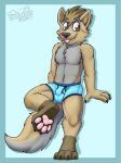  2021 4_toes anthro black_nose blue_clothing blue_underwear boxers_(clothing) brown_body brown_eyes brown_fur bulge chest_tuft claws clothed clothing cute_fangs eyebrows feet fur gaokun grey_body grey_fur looking_at_viewer male partially_clothed pawpads paws simple_background solo toe_claws toes tongue tongue_out topless_male tuft underwear watermark 