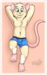  10:16 2021 anthro blue_clothing blue_underwear boxers_(clothing) buckteeth chest_tuft clothed clothing eyebrows feet fur gaokun green_eyes hi_res looking_at_viewer male partially_clothed pink_nose simple_background solo teeth tuft underwear watermark white_body white_fur yellow_body yellow_fur 